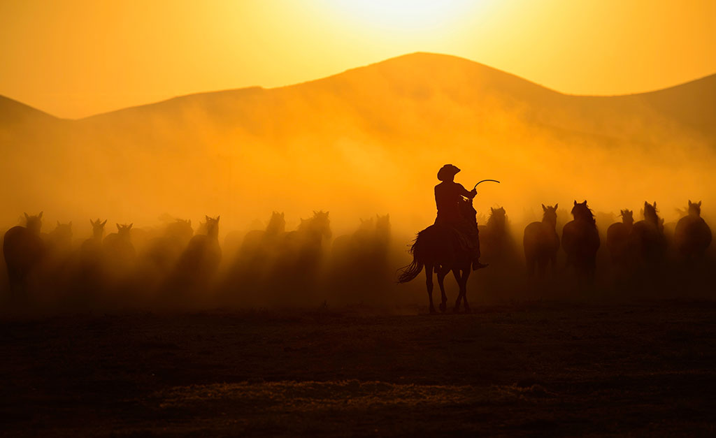 cowboy on horseback at sunrise