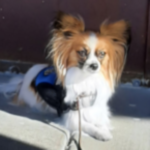 Profile photo of littlebit