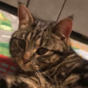 Profile photo of jane2020
