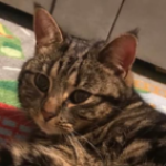 Profile photo of jane2020