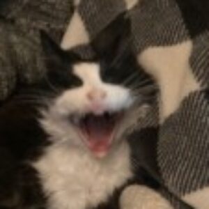 Profile photo of Cathy