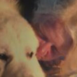 Profile photo of Sue