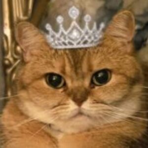 Profile photo of Tinruby
