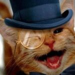 Profile photo of Shedevil7953