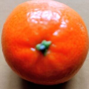 Profile photo of Tang12345
