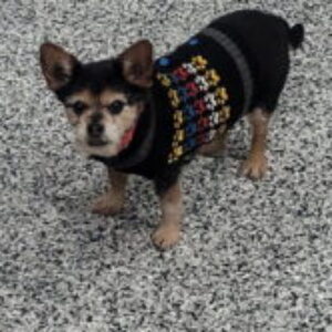 Profile photo of Dukmomimi