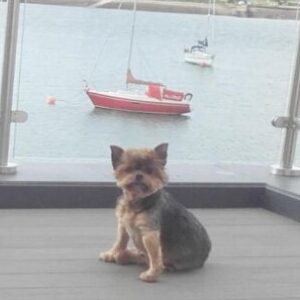 Profile photo of Gerwyn