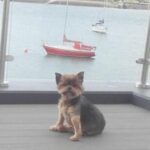 Profile photo of Gerwyn