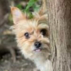 Profile photo of Danie