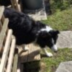 Profile photo of John Rosco