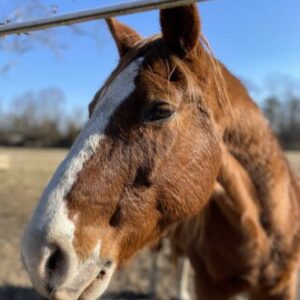 Profile photo of marieplant