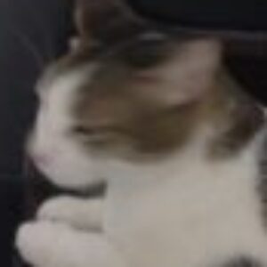 Profile photo of Maria829