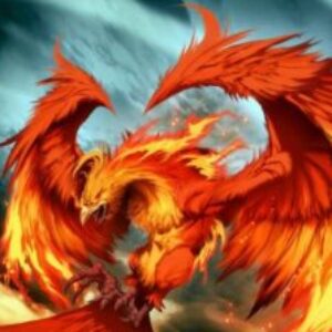 Profile photo of Phoenix0110