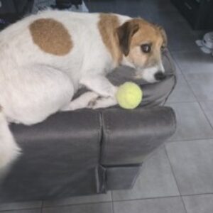 Profile photo of grandmaj