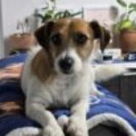 Profile photo of grandmaj