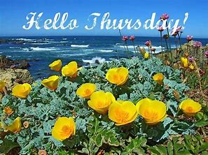 Hello Thursday