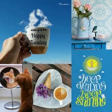 Happy Tuesday collage