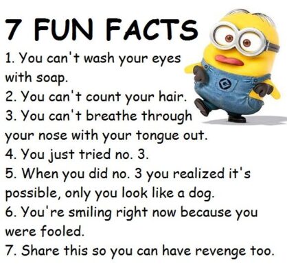 fun facts