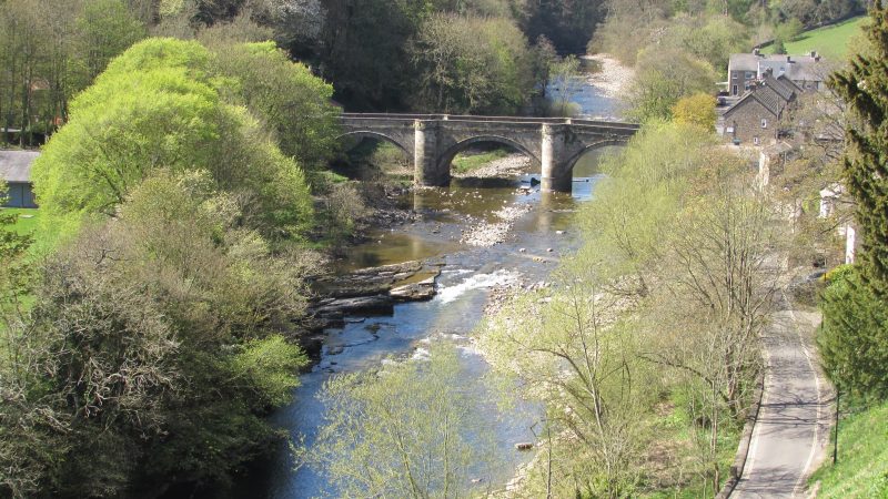 BRIDGE VIEW IN SPRING
