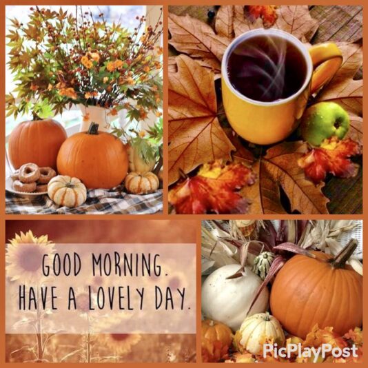 Good Morning fall collage