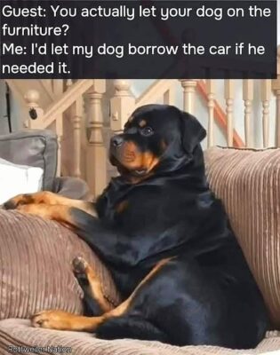 488156402_9500145303386824_9128875972321888348_n