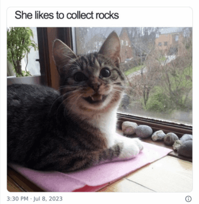 rock collector