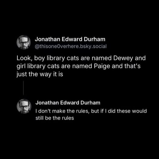 library cat names43762_n