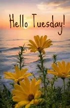 Hello Tuesday 1