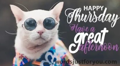 Happy Thursday 1