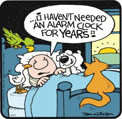alarm clock