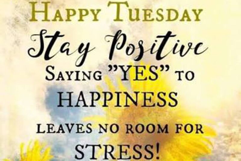 tuesday yes to happiness