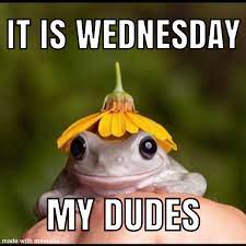 wednesday my dudes
