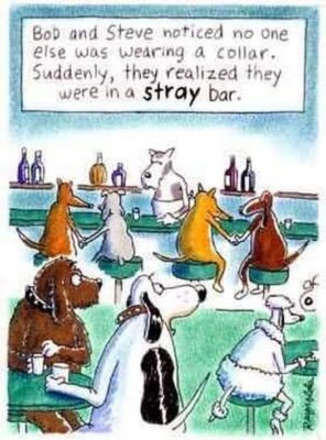 stray bar