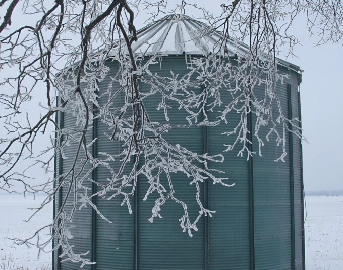 FROSTY BIN EDIT_face26