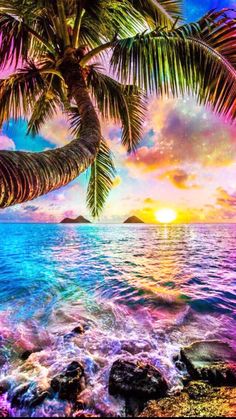 16EAA5AD-6673-440D-8BDE-DFBDFAE4980E