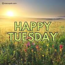happy tuesday flower field