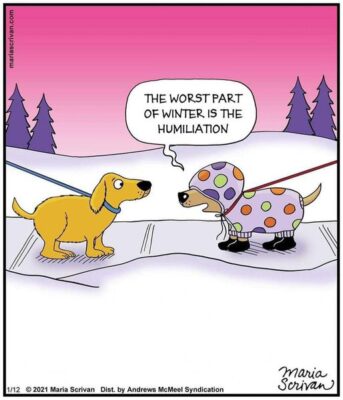 Joke 2024 winter dog