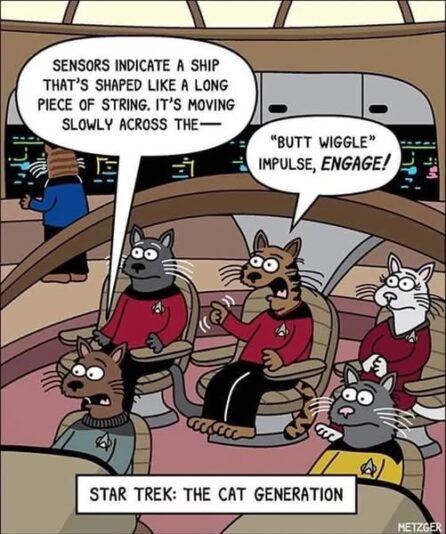 star trek cats
