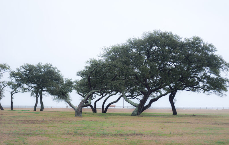 P1000195