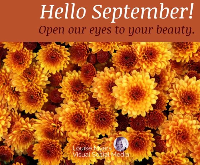 hello-september-flowers 2