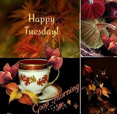 Happy Tuesday collage 2