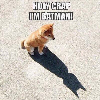 23-Of-The-Best-Funny-Memes-Funny-Pictures-12-2995970675