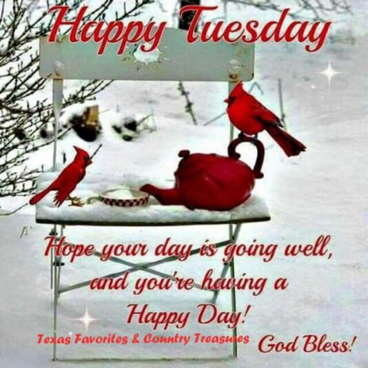 -Happy-Tuesday