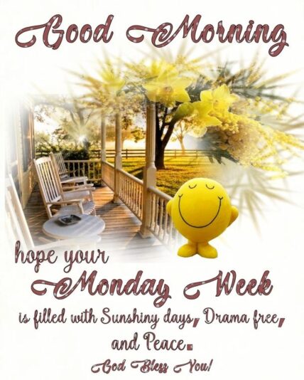 Good Morning Monday sunny day