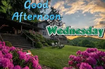 Good afternoon Wednesday 1