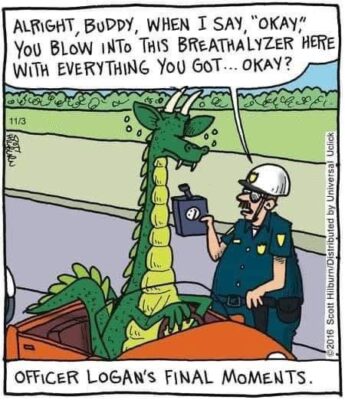 stupid cop