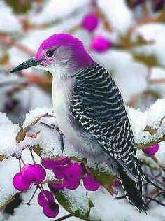 F7F7C1C7-D02A-495C-9C35-D01452CBCF9E