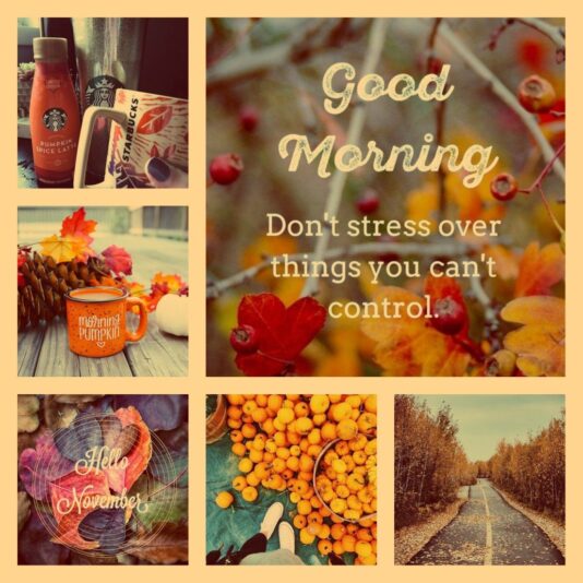 Good Morning Fall