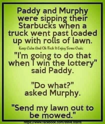 lawn out to mow