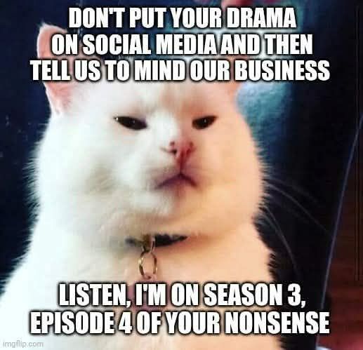 drama on the net